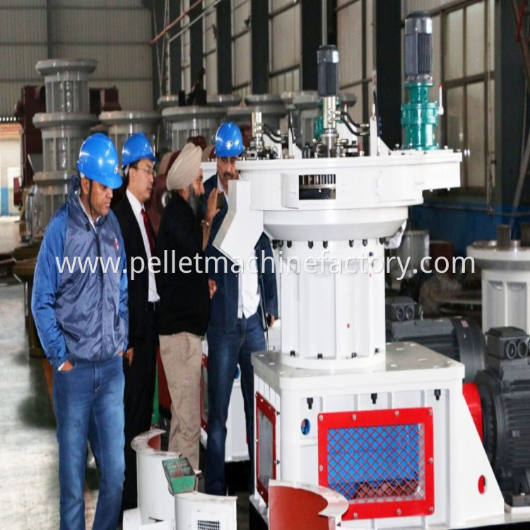 2T/H XGJ series Vertical Ring Die Wood Pellet Machine